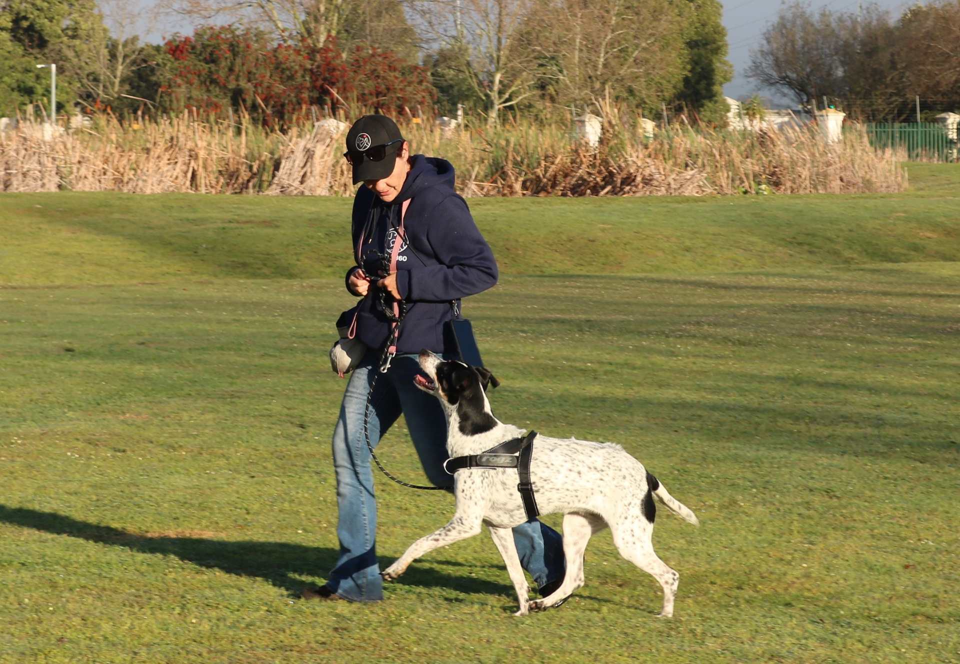 Handler jogging outdoors with a spotted pointer dog