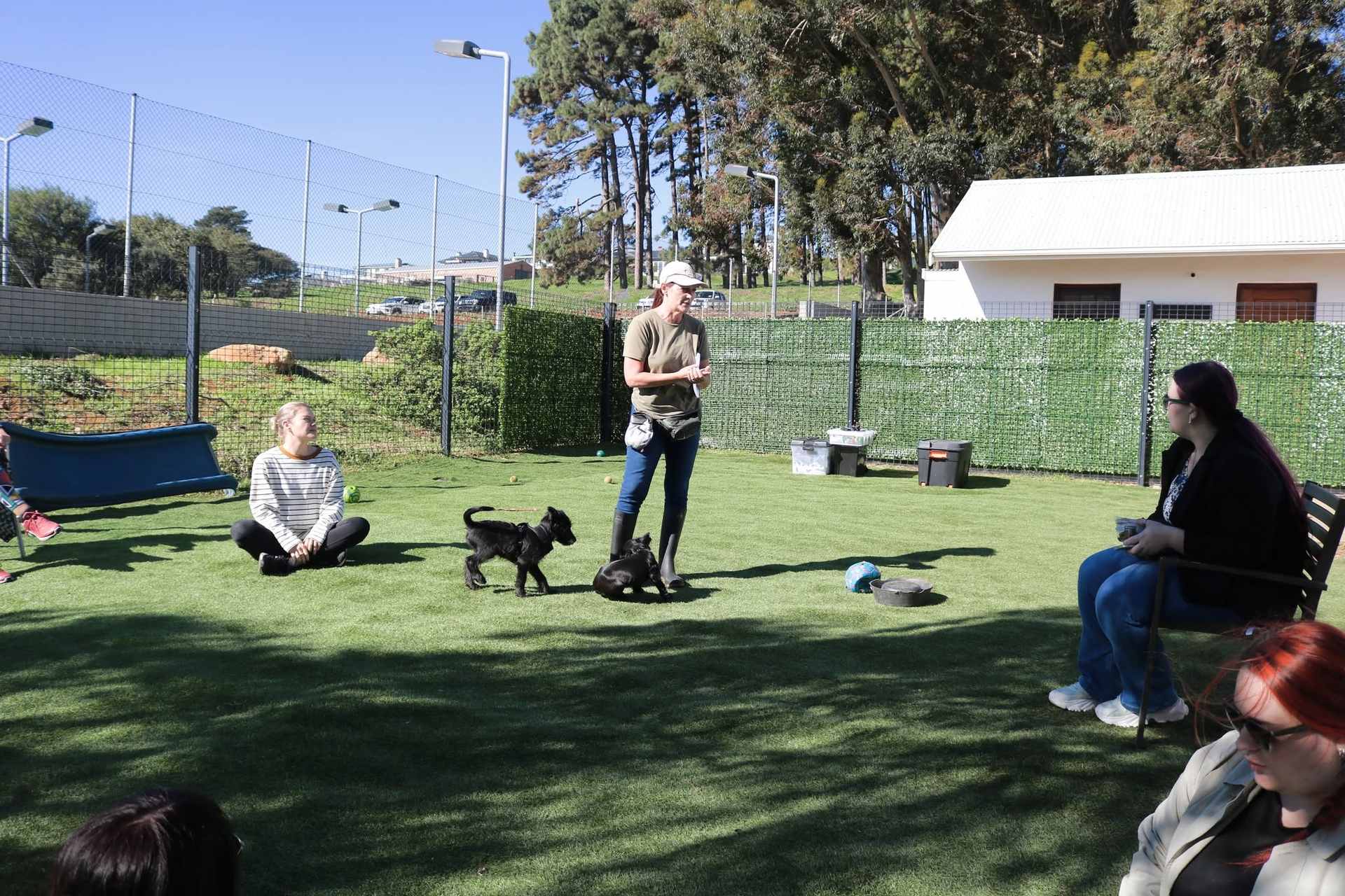 Trainer standing on the grass, talking to a seated class with two black puppies nearby
