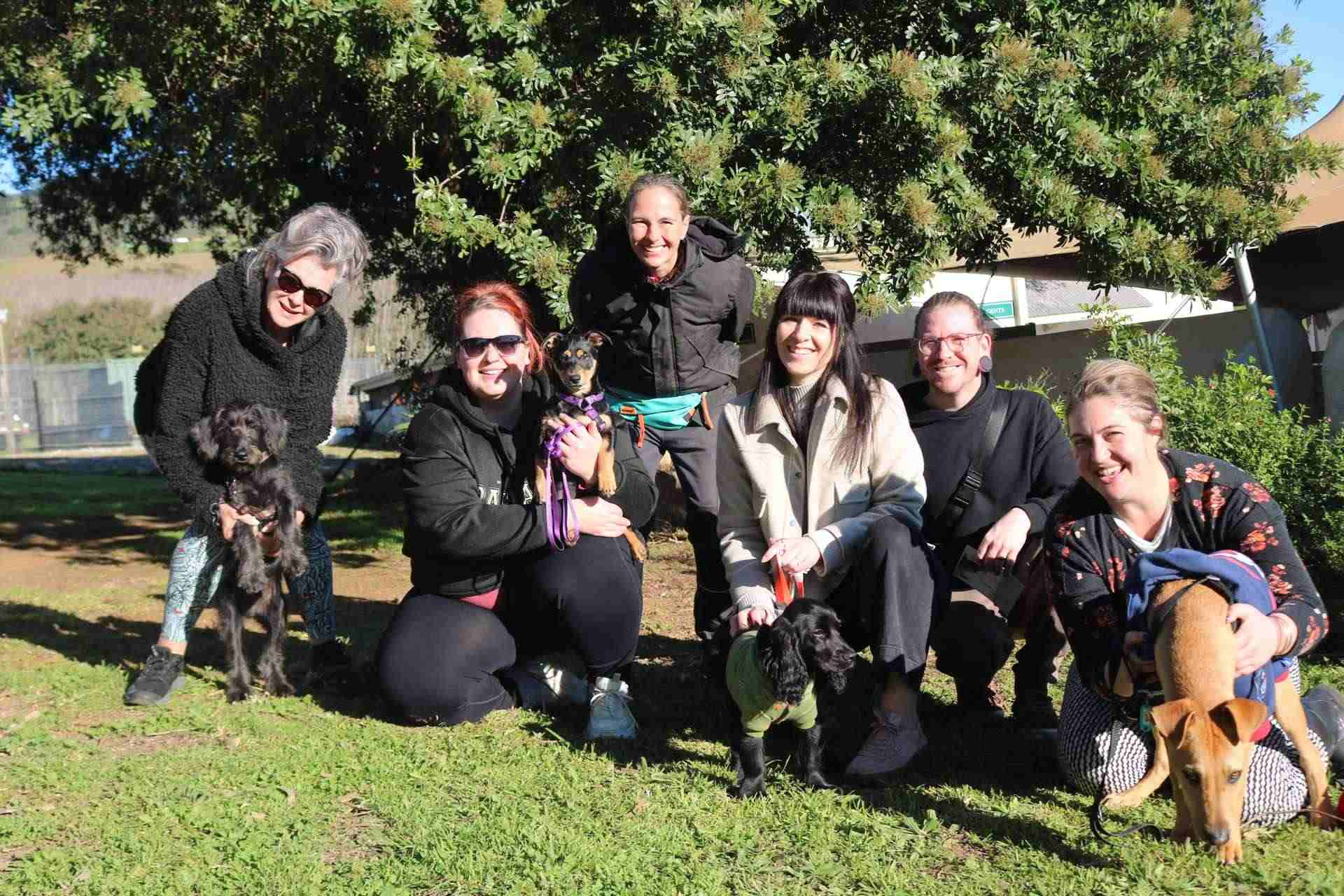 Group of clients holding small dogs under a tree